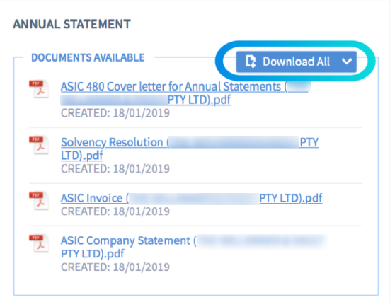 asic annual company statement