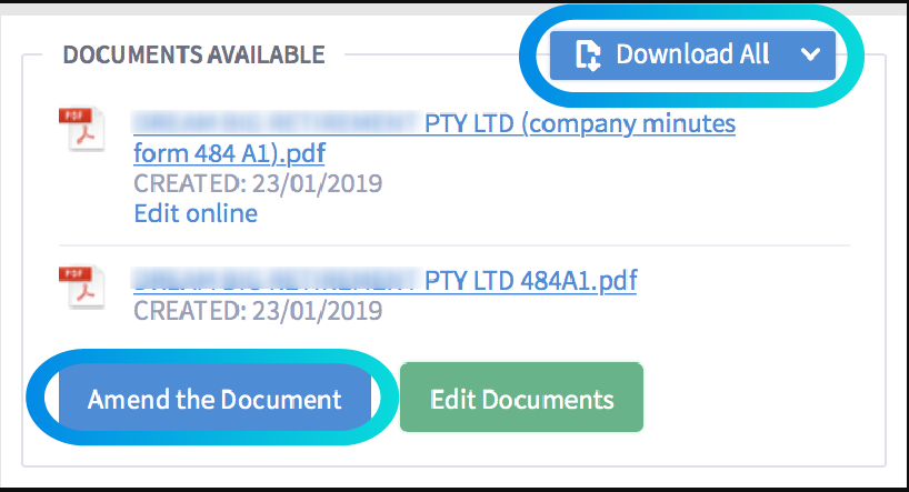 asic form 484